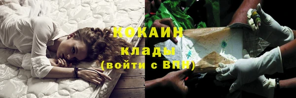 шишки Сретенск