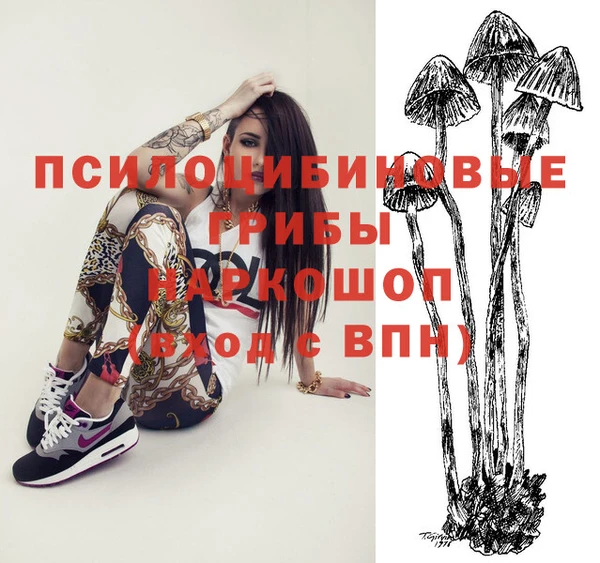 эйфоретик Богородицк