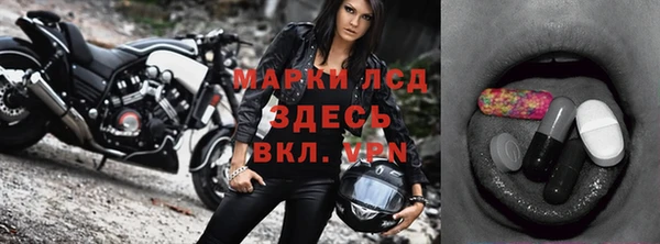 ПСИЛОЦИБИНОВЫЕ ГРИБЫ Арсеньев
