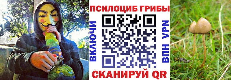 Псилоцибиновые грибы Magic Shrooms  Зима 