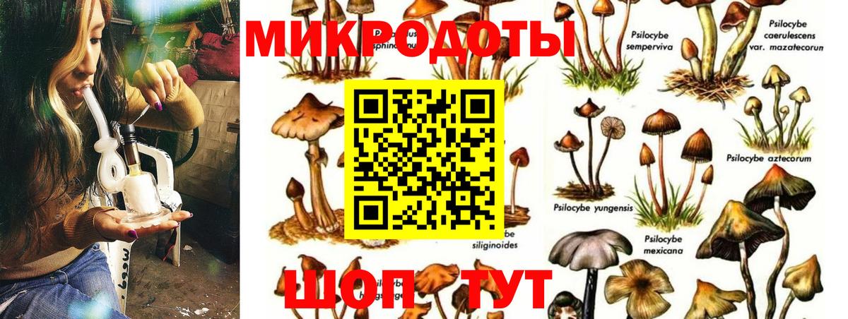 Зима  Псилоцибиновые грибы GOLDEN TEACHER  Вход с VPN 