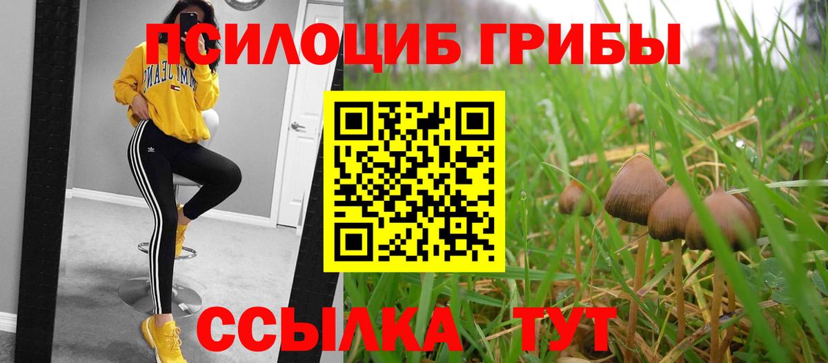 Галлюциногенные грибы Magic Shrooms Зима
